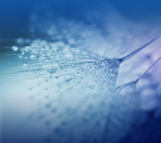 GUTSCHEIN für neXpresso schmuckdesign